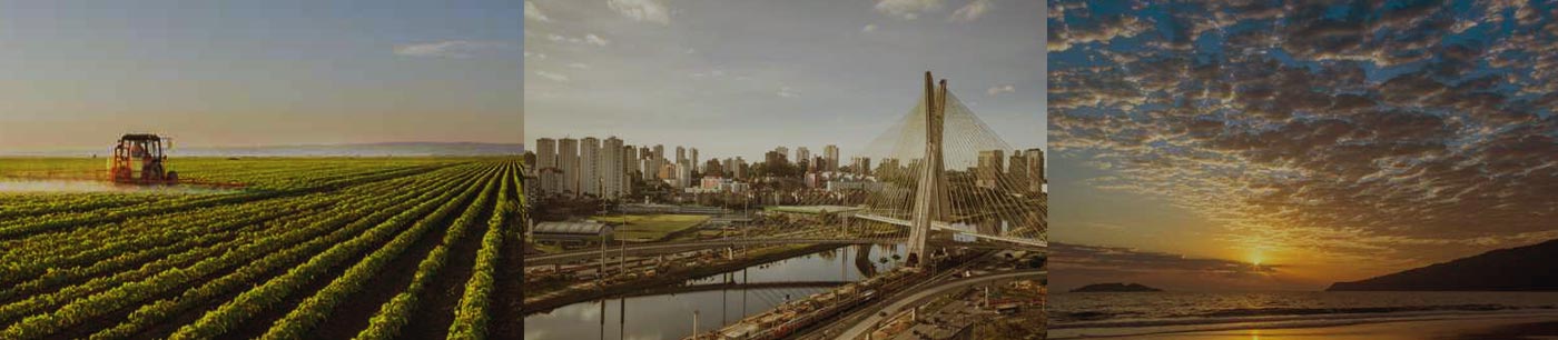 Um país forte se faz com empresas fortes